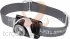 �������� ������ Led Lenser SEO5